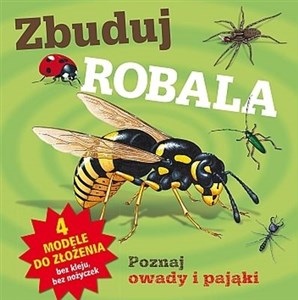 Obrazek Zbuduj robala
