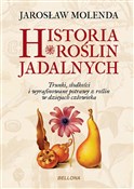 Historia r... - Jarosław Molenda -  foreign books in polish 