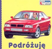 Polska książka : Podróżuję - Andrzej Kłapyta