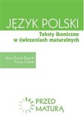 Język pols... - Beata Kapela-Bagińska, Tomasz Zieliński -  books in polish 