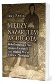 Między Naz... - Idzi Panic -  Polish Bookstore 