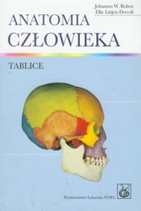 Picture of Anatomia człowieka Tablice