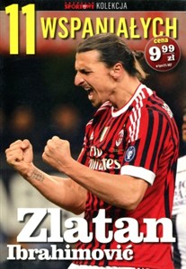 Obrazek 11 wspaniałych. Część 4. Zlatan Ibrahimović