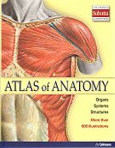 Obrazek Atlas of anatomy