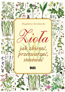 Picture of Zioła Jak zbierać, przetwarzać, stosować
