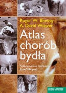Obrazek Atlas chorób bydła