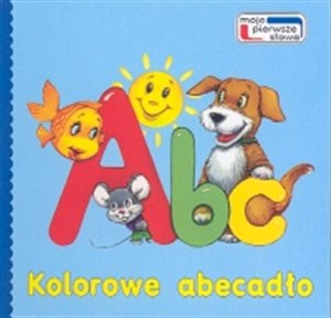 Picture of Kolorowe abecadło