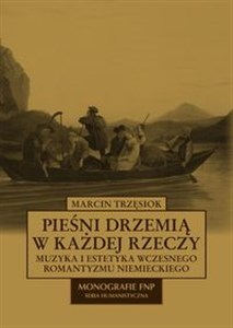 Picture of Pieśni drzemią w każdej rzeczy Muzyka i estetyka wczesnego Romantyzmu niemieckiego