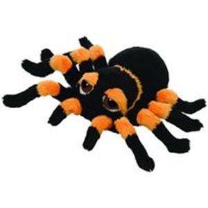 Picture of Tarantula Spindra 17 cm