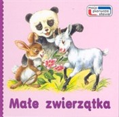 Małe zwier... -  foreign books in polish 