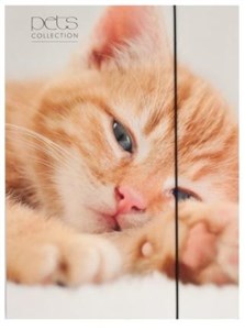 Obrazek Teczka A4 z gumką Pets-15