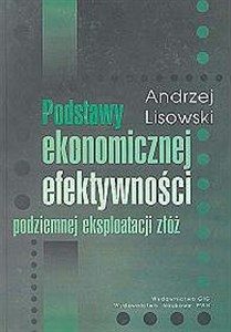 Picture of Podstawy ekonomicznej efektywności podziemnej eksploatacji złóż