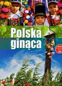 Polska gin... - Bogusław Michalec -  books in polish 