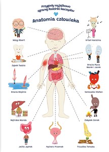 Picture of Plakat edukacyjny anatomia człowieka dla dziecka format A2