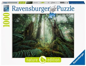 Picture of Puzzle 1000 Lasy