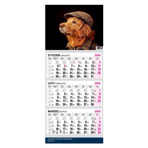 Picture of Kalendarz 2026 trójdzielny Premium Pies