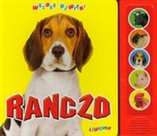 Ranczo Wes... -  foreign books in polish 