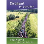 polish book : Drogami bł... - Opracowanie Zbiorowe