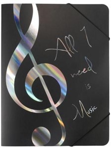 Picture of Teczka- All I Need Is Music srebrna