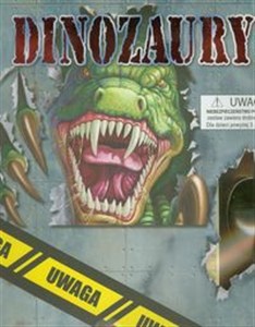 Obrazek Dinozaury pudełko
