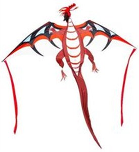 Picture of Latawiec Ognisty smok