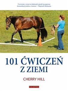 Picture of 101 ćwiczeń z ziemi