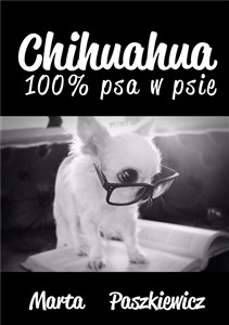 Picture of Chihuahua 100% psa w psie