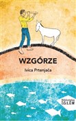 Wzgórze - Ivica Prtenjača -  foreign books in polish 