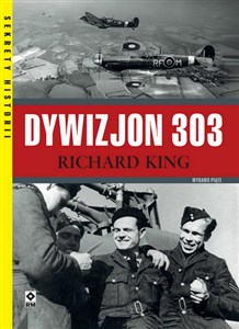 Picture of Dywizjon 303