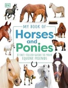 Obrazek My Book of Horses and Ponies