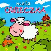 Mała owiec... - Beata Jaczewska -  Książka z wysyłką do UK