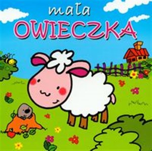 Obrazek Mała owieczka