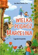 Wielka pod... - Jose Maria Sanchez-Silva -  books in polish 