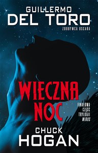 Obrazek Wieczna noc