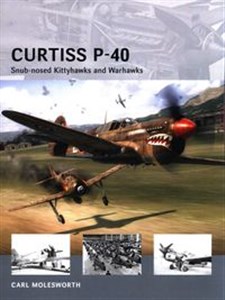 Picture of Curtiss P-40 Snub-nosed Kittyhawks and Warhawks