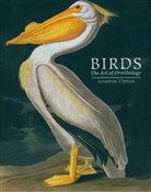 polish book : Birds - Jonathan Elphick