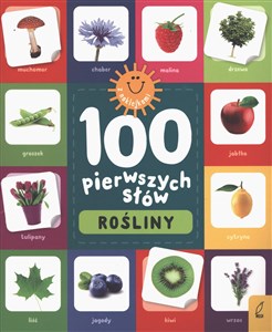 Picture of Rośliny. 100 pierwszych słów