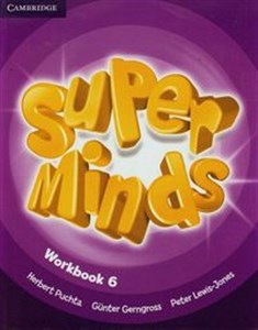 Picture of Super Minds 6 Workbook