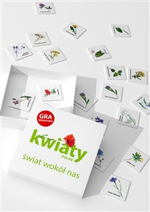 Picture of Kwiaty polne Świat wokół nas Gra edukacyjna