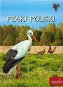 Ptaki Pols... - Elżbieta Zarych -  books from Poland