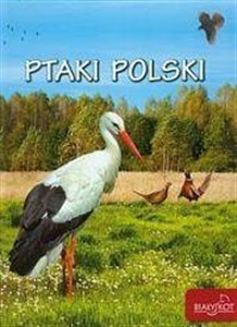 Obrazek Ptaki Polski w.2015