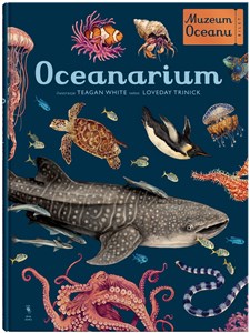 Picture of Oceanarium Muzeum Oceanu