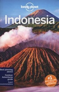 Obrazek Lonely Planet Indonesia