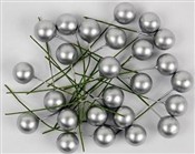 Polska książka : Owoce ostr...