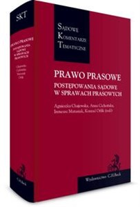 Picture of Prawo prasowe Postępowania sądowe w sprawach prasowych