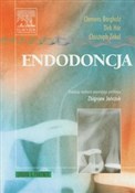 Endodoncja... - Clemens Bargholz, Dirk Hor, Christoph Zirkel -  foreign books in polish 