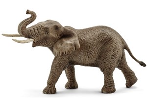 Obrazek Samiec słonia afrykańskiego