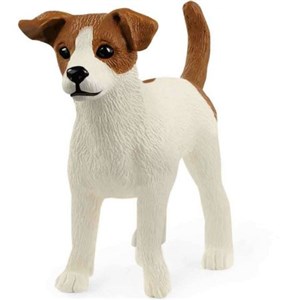 Obrazek Jack Russell terrier SLH13916