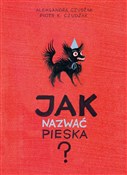 Książka : Jak nazwać... - Piotr K. Czudżak