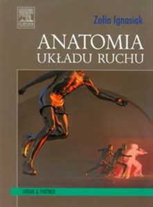 Picture of Anatomia układu ruchu